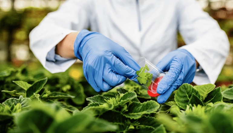 Safe food handling practices