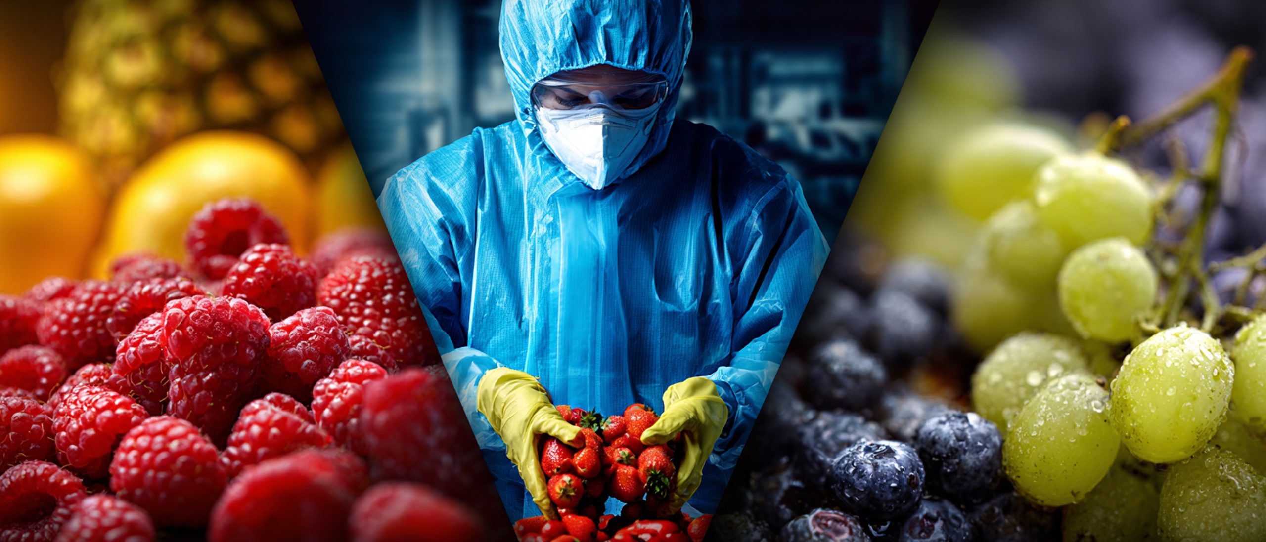 the three types of hazards that make food unsafe are