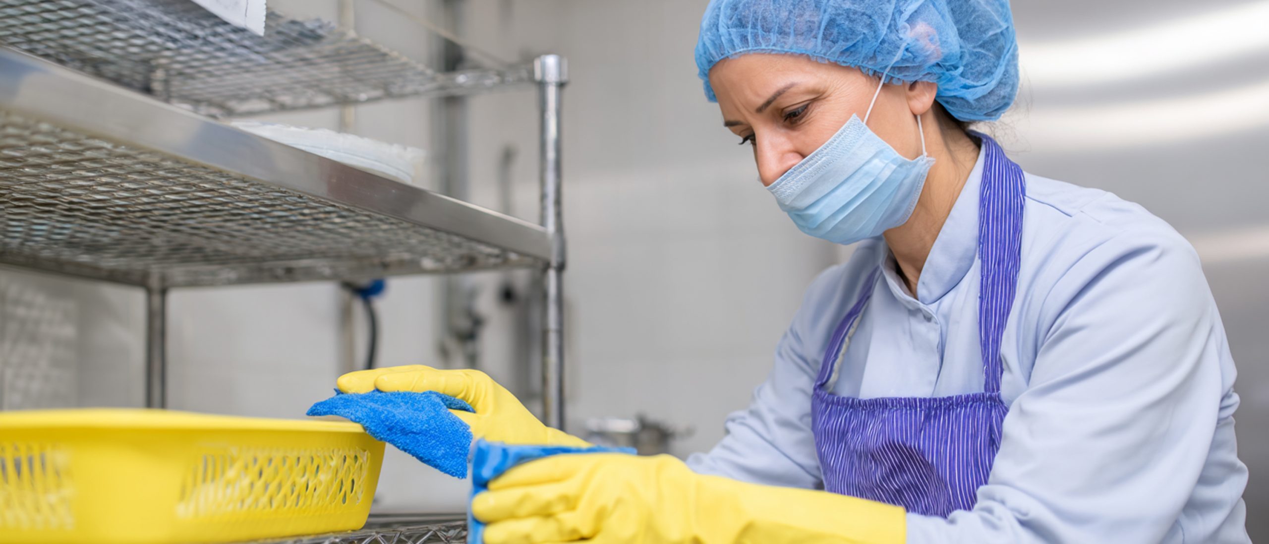 california food handlers certificate